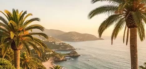 Tropical coastline with palm trees