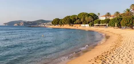 Beach with orange groves on Costa del Azahar