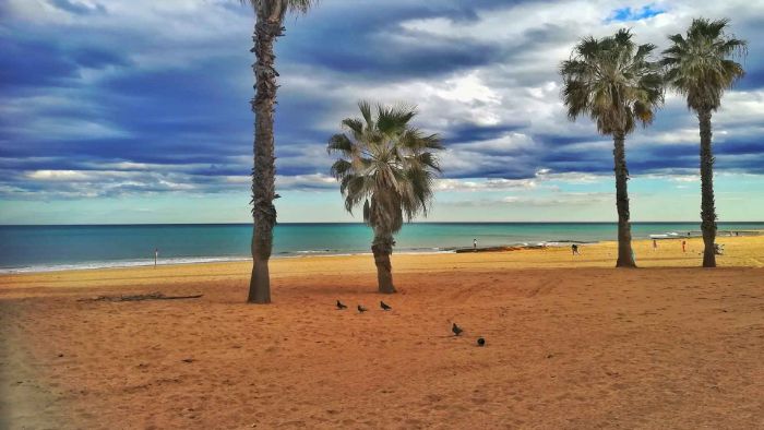 Playa la Mata Beach