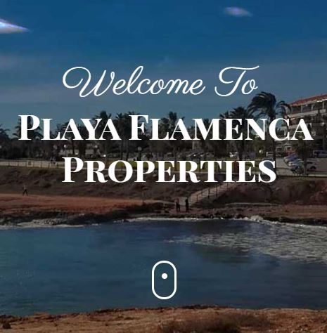 Playa Flamenca Properties