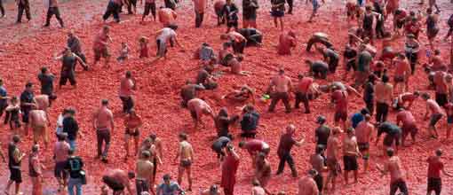 La Tomatina, Valencia